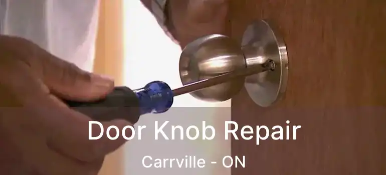  Door Knob Repair Carrville - ON
