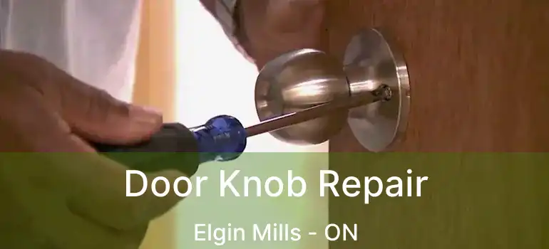  Door Knob Repair Elgin Mills - ON