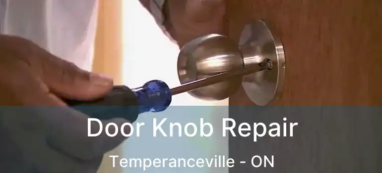  Door Knob Repair Temperanceville - ON