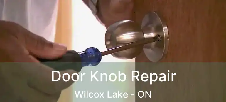  Door Knob Repair Wilcox Lake - ON