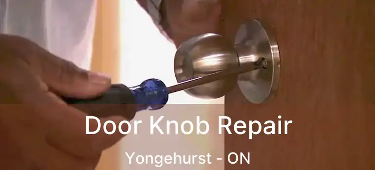  Door Knob Repair Yongehurst - ON