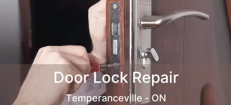 Door Lock Repair Temperanceville - ON