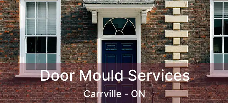  Door Mould Services Carrville - ON