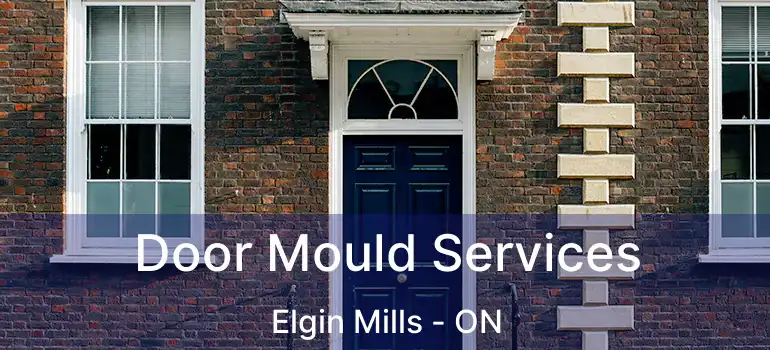  Door Mould Services Elgin Mills - ON