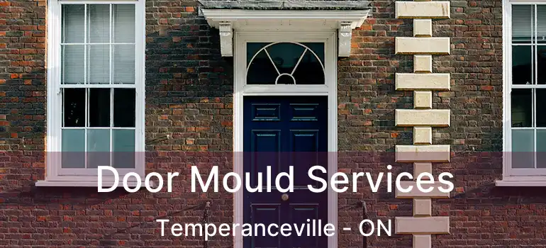  Door Mould Services Temperanceville - ON