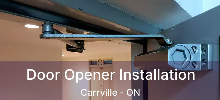  Door Opener Installation Carrville - ON