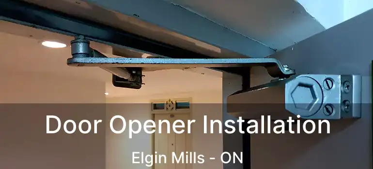  Door Opener Installation Elgin Mills - ON
