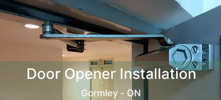  Door Opener Installation Gormley - ON