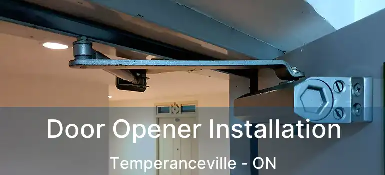  Door Opener Installation Temperanceville - ON