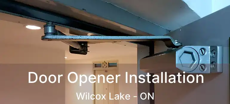  Door Opener Installation Wilcox Lake - ON