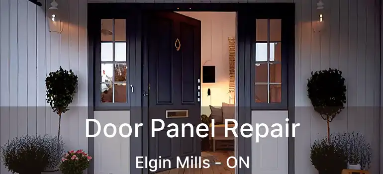  Door Panel Repair Elgin Mills - ON