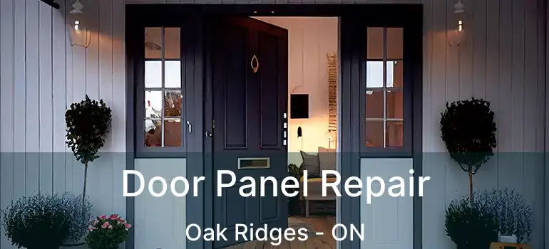  Door Panel Repair Oak Ridges - ON