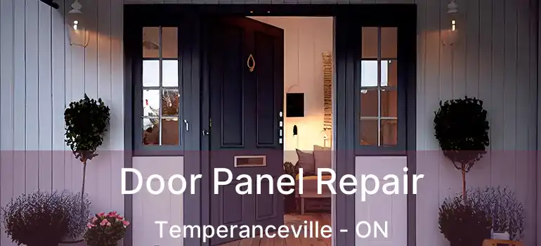  Door Panel Repair Temperanceville - ON