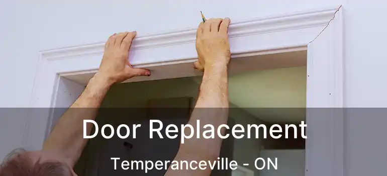  Door Replacement Temperanceville - ON