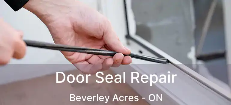  Door Seal Repair Beverley Acres - ON