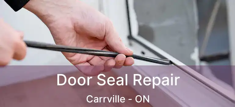  Door Seal Repair Carrville - ON