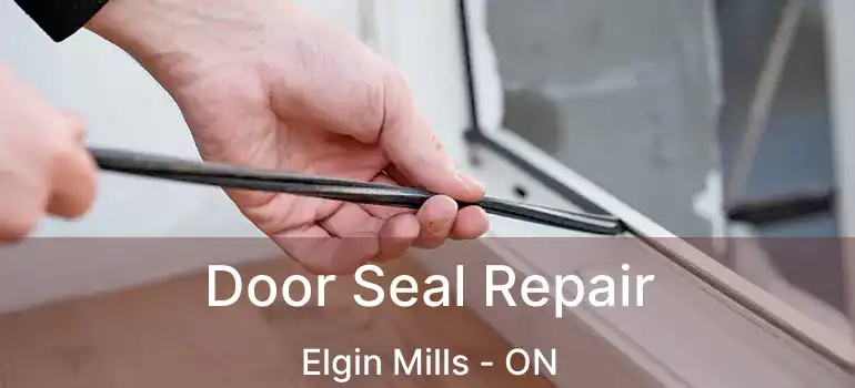  Door Seal Repair Elgin Mills - ON