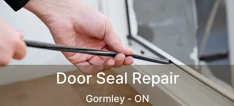  Door Seal Repair Gormley - ON