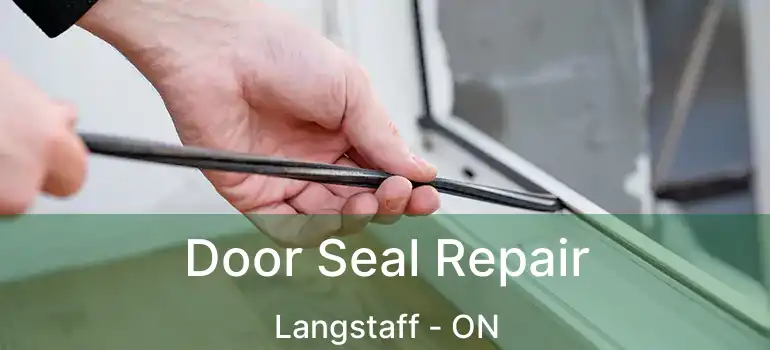  Door Seal Repair Langstaff - ON