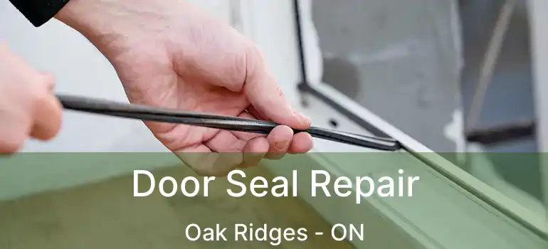  Door Seal Repair Oak Ridges - ON