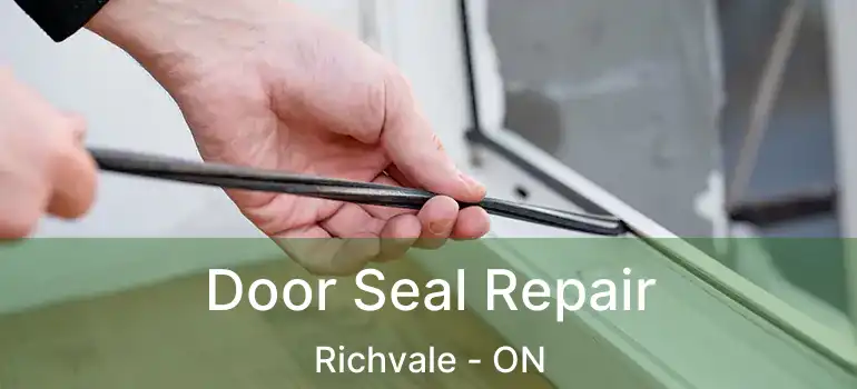  Door Seal Repair Richvale - ON