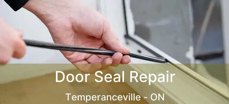  Door Seal Repair Temperanceville - ON