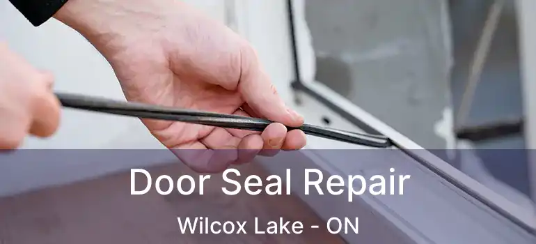  Door Seal Repair Wilcox Lake - ON