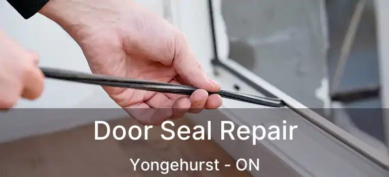  Door Seal Repair Yongehurst - ON