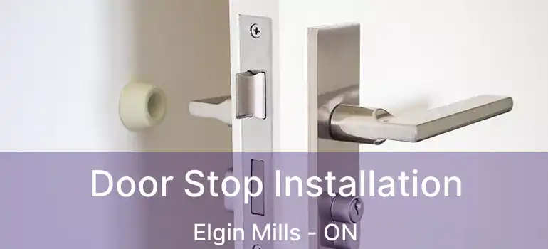  Door Stop Installation Elgin Mills - ON