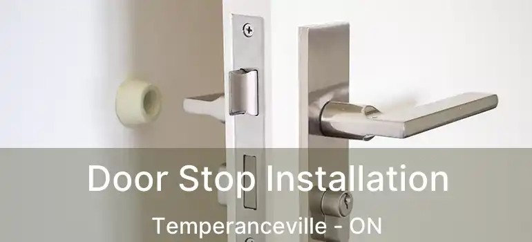  Door Stop Installation Temperanceville - ON