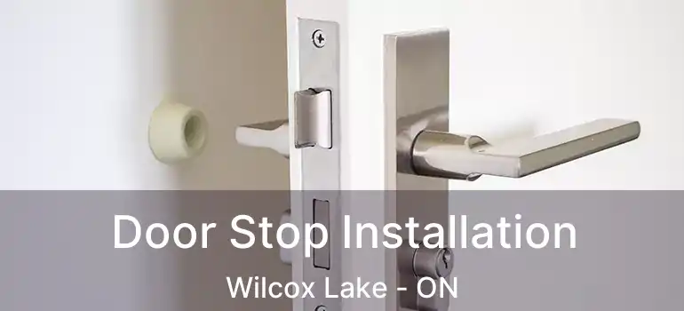  Door Stop Installation Wilcox Lake - ON