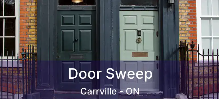  Door Sweep Carrville - ON