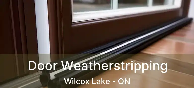  Door Weatherstripping Wilcox Lake - ON