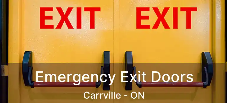  Emergency Exit Doors Carrville - ON