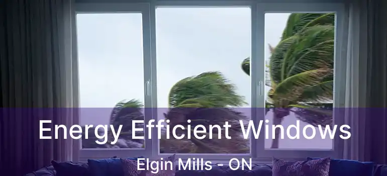  Energy Efficient Windows Elgin Mills - ON