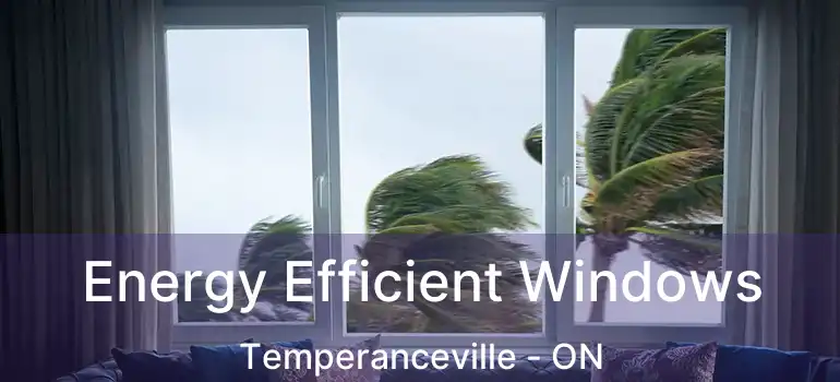  Energy Efficient Windows Temperanceville - ON