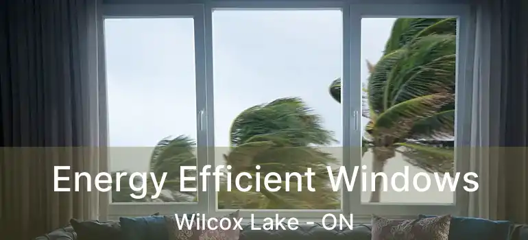  Energy Efficient Windows Wilcox Lake - ON