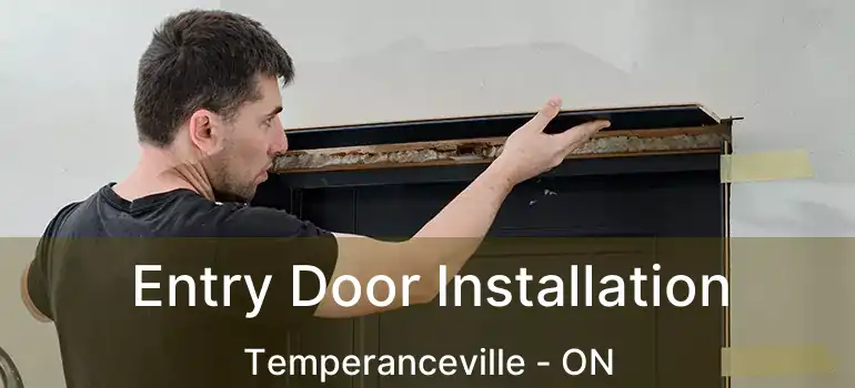  Entry Door Installation Temperanceville - ON