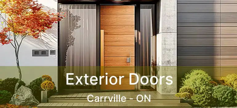  Exterior Doors Carrville - ON