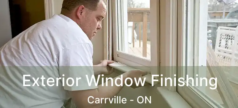  Exterior Window Finishing Carrville - ON
