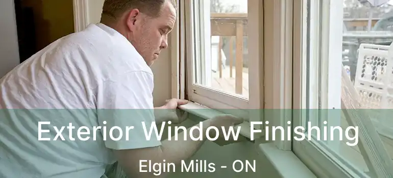  Exterior Window Finishing Elgin Mills - ON