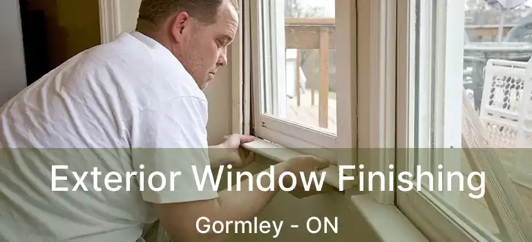  Exterior Window Finishing Gormley - ON
