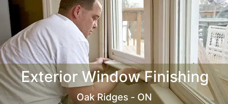  Exterior Window Finishing Oak Ridges - ON