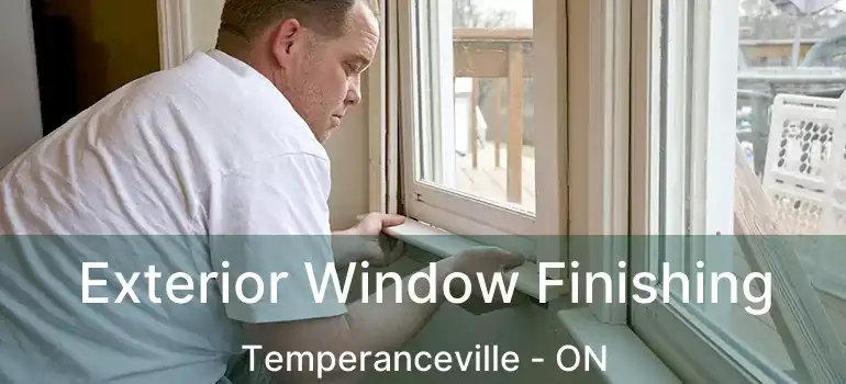  Exterior Window Finishing Temperanceville - ON