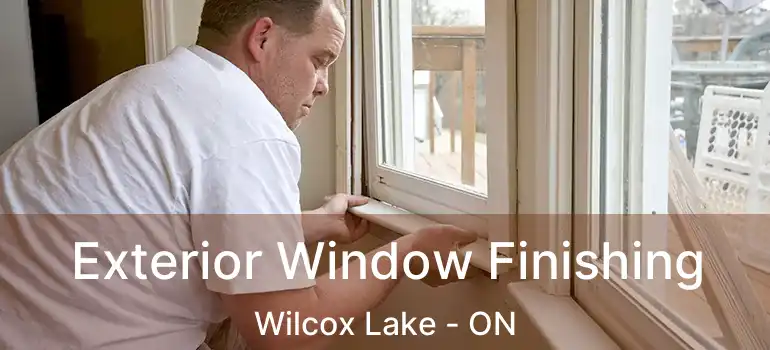  Exterior Window Finishing Wilcox Lake - ON