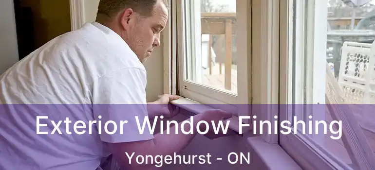 Exterior Window Finishing Yongehurst - ON