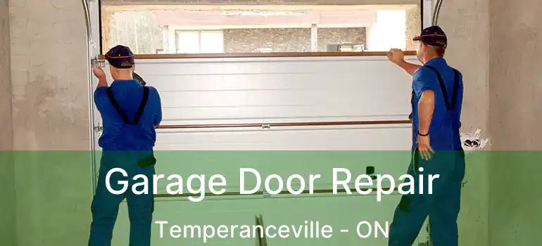  Garage Door Repair Temperanceville - ON