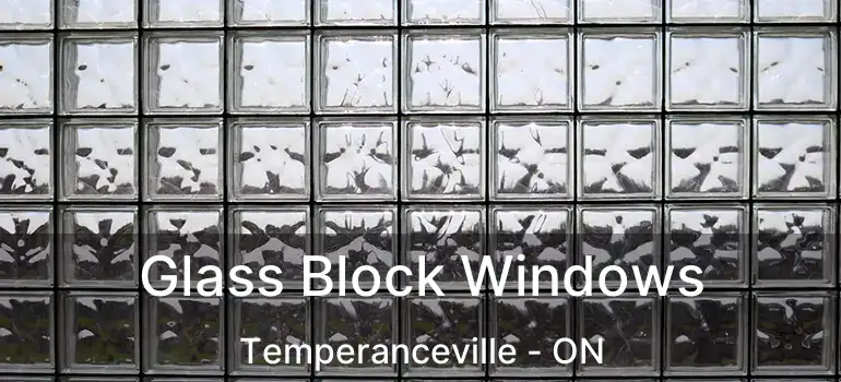  Glass Block Windows Temperanceville - ON