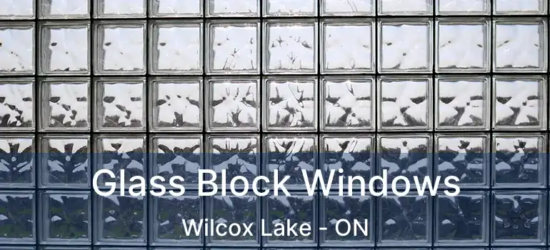  Glass Block Windows Wilcox Lake - ON