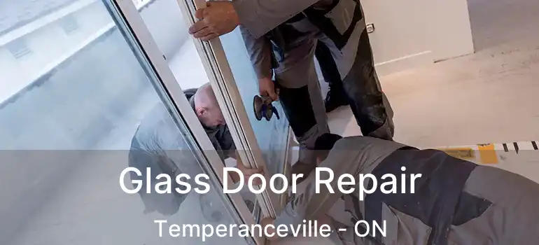  Glass Door Repair Temperanceville - ON